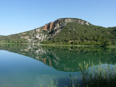 Nacimientos de la Laguna de El Tobar - imagen 8
