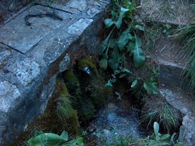 Fuente de Arroyo Frío - imagen 3