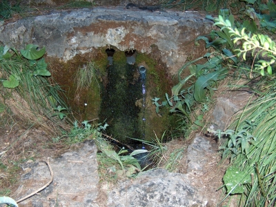 Fuente de Arroyo Frío - imagen 4