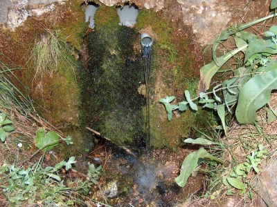 Fuente de Arroyo Frío - imagen 5