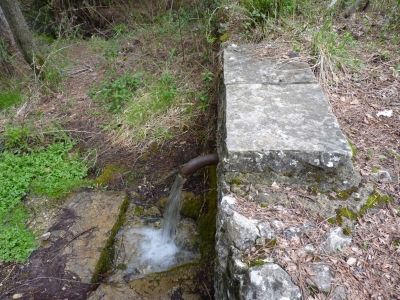 Fuentes Morenas - imagen 5
