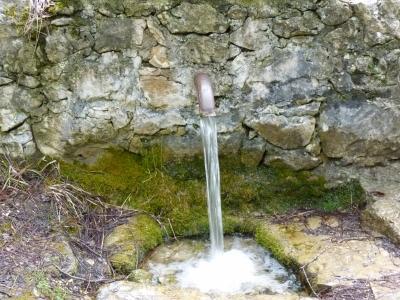 Fuentes Morenas - imagen 6
