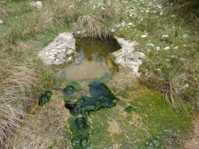 Fuente del Cobo - imagen 1