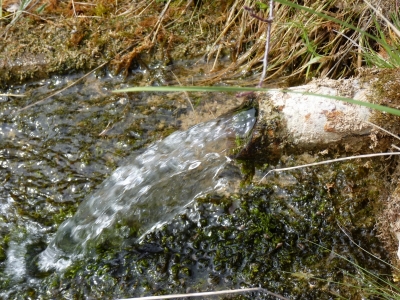 Fuente del Cobo - imagen 6