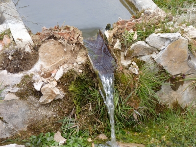 Fuente del Cobo - imagen 8