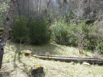 Fuente de la Dehesa (2) - imagen 1