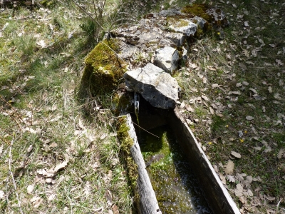 Fuente de la Dehesa (2) - imagen 2