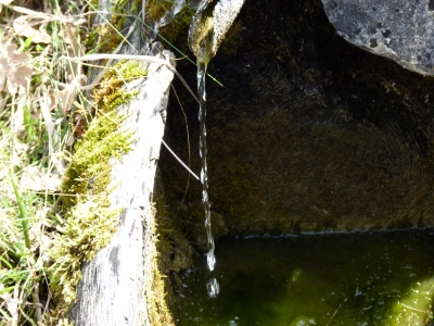 Fuente de la Dehesa (2) - imagen 3