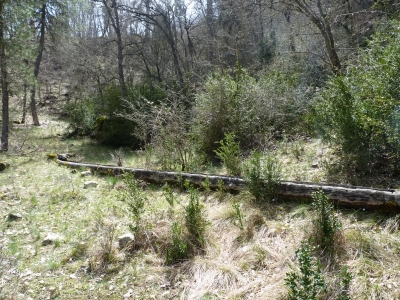 Fuente de la Dehesa (2) - imagen 6