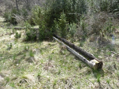 Fuente de la Dehesa (2) - imagen 7