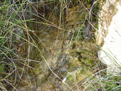 Fuente del Tío Lorenzo - imagen 2