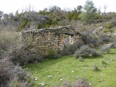 Fuente del Tío Lucio - imagen 8