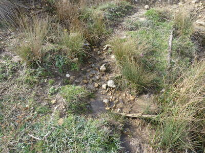 Fuente de las Fraguas - imagen 2