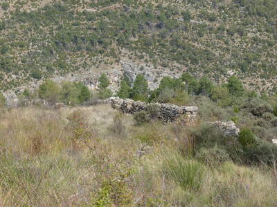 Fuente de las Fraguas - imagen 6