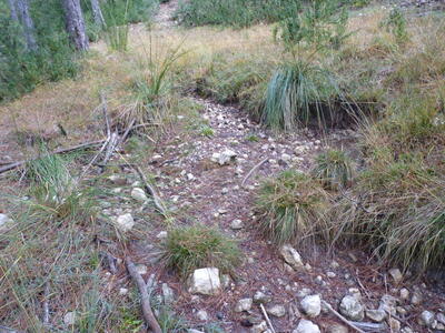 Fuente del Gamellón - imagen 2