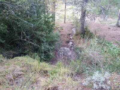 Fuente del Gamellón - imagen 6