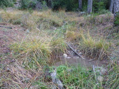 Fuente del Gamellón - imagen 8