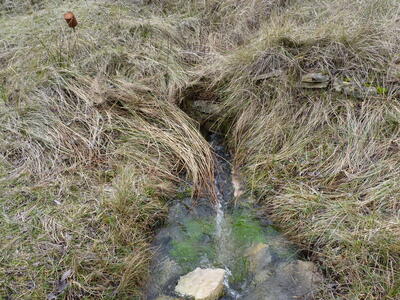 Fuente de los Pedazuelos - imagen 1