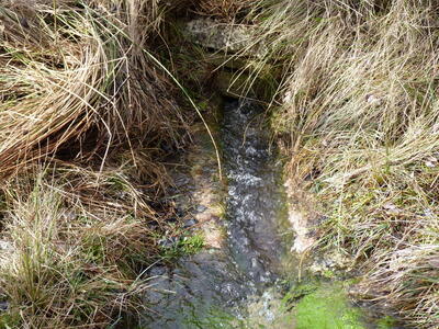 Fuente de los Pedazuelos - imagen 2