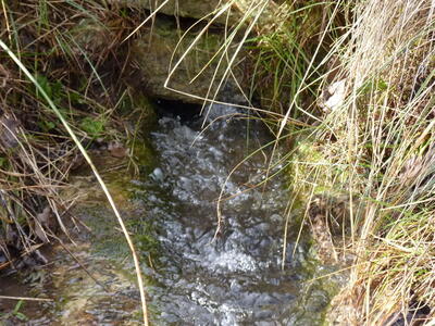 Fuente de los Pedazuelos - imagen 3