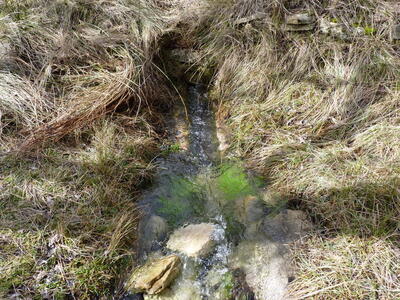 Fuente de los Pedazuelos - imagen 4