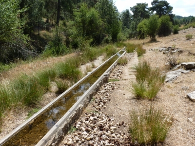 Fuente del Calar (Abrevadero) - imagen 2