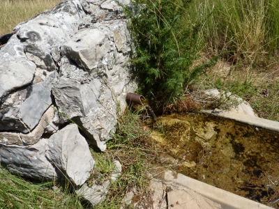 Fuente del Calar (Abrevadero) - imagen 3