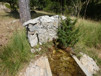 Fuente del Calar (Abrevadero) - imagen 4
