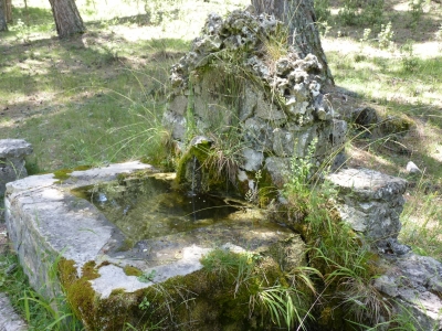 Fuente la Cierva - imagen 2