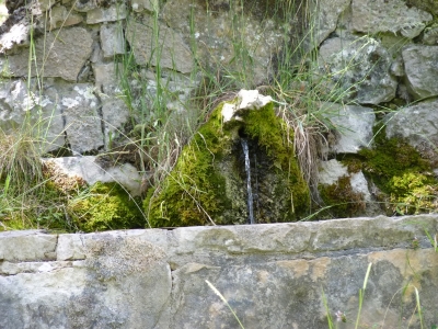 Fuente la Cierva - imagen 3