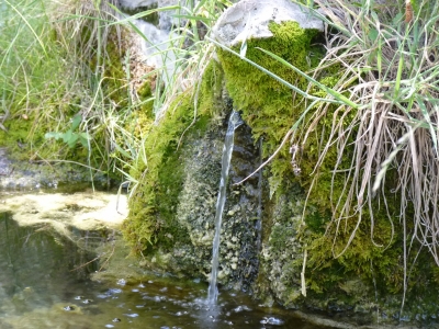 Fuente la Cierva - imagen 4