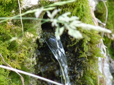 Fuente la Cierva - imagen 5