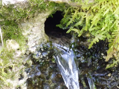 Fuente la Cierva - imagen 6