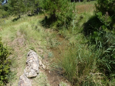 Fuente Morena - imagen 2