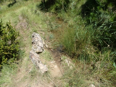 Fuente Morena - imagen 5