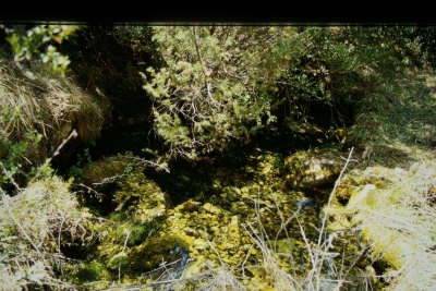 Fuente Morena - imagen 1