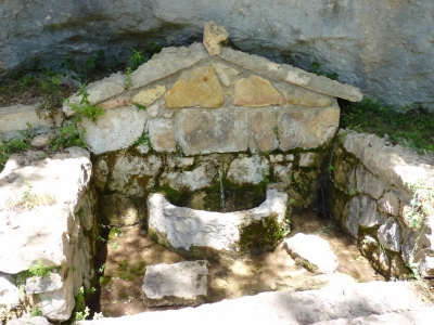 Fuente la Paloma - imagen 2