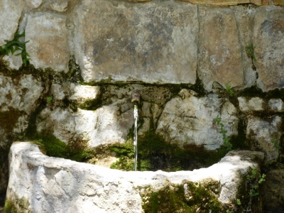 Fuente la Paloma - imagen 3