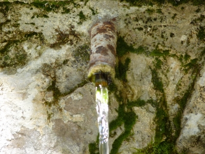 Fuente la Paloma - imagen 5