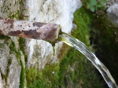 Fuente la Paloma - imagen 6