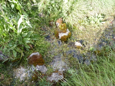 Fuente la Peguera - imagen 1