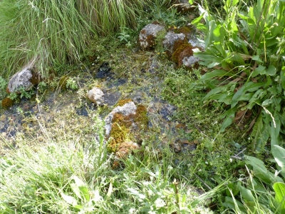 Fuente la Peguera - imagen 2