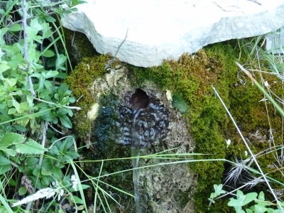Fuente la Peña del Villar - imagen 2
