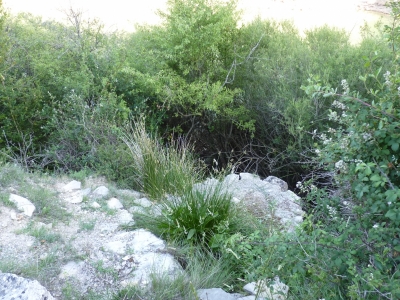 Fuente la Peña del Villar - imagen 3