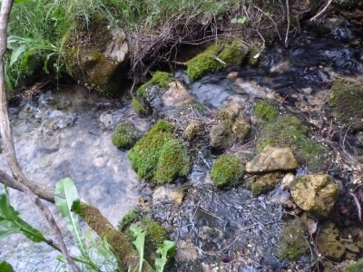 Fuente del Tío Luengo - imagen 2