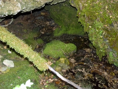 Fuente del Tío Luengo - imagen 5