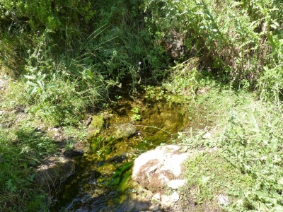 Fuente la Zorrera - imagen 1