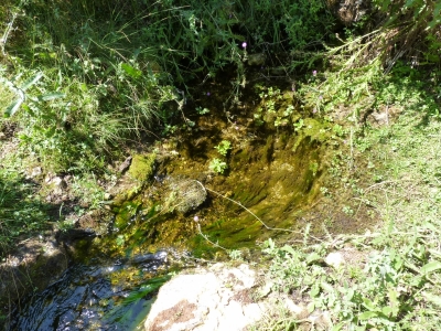 Fuente la Zorrera - imagen 2