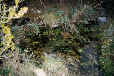 Fuente la Zorrera - imagen 4