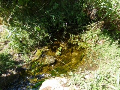 Fuente la Zorrera - imagen 6
